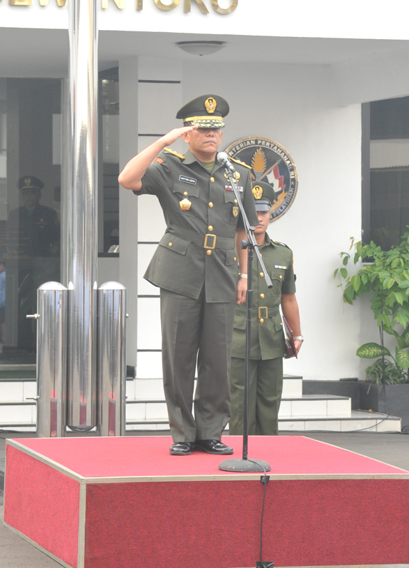 ultah4