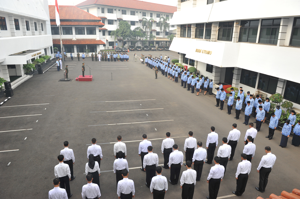 ultah6