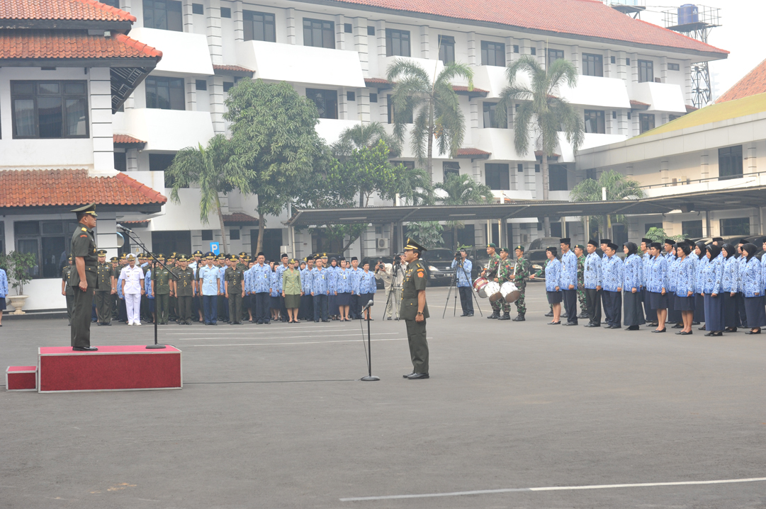 ultah7