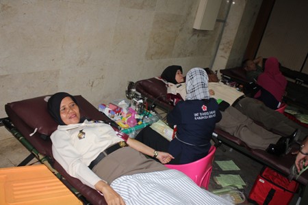 donor darah
