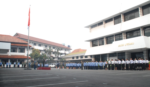 portal upc. 17an